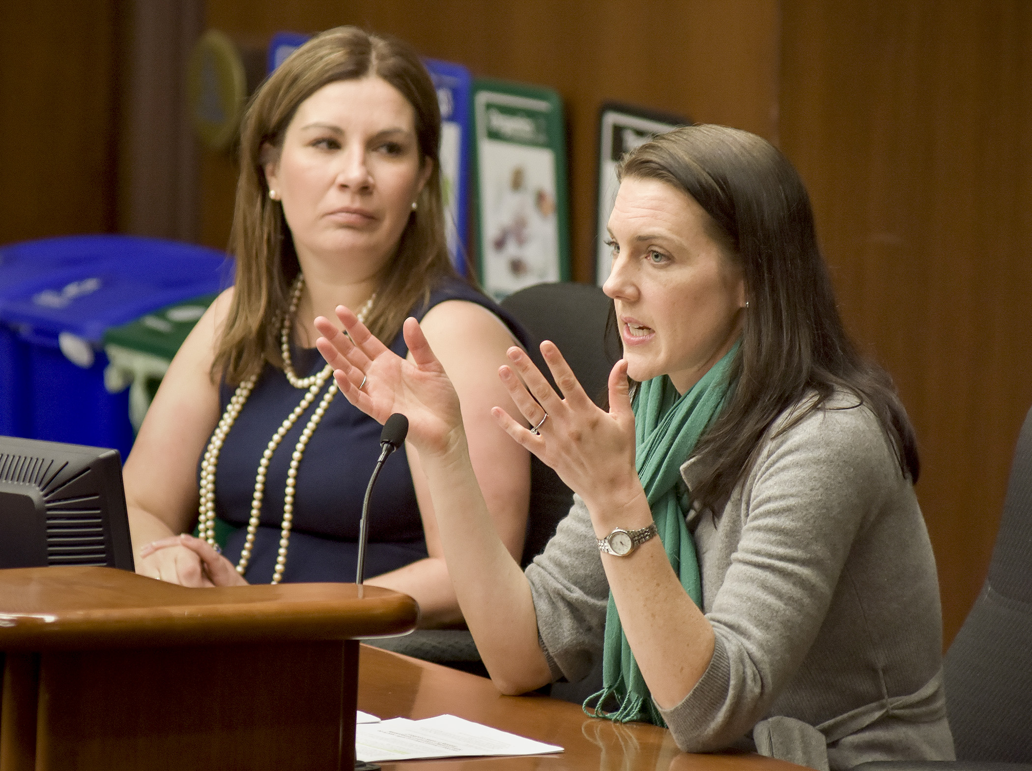 Representing the Minnesota Child Care Association, Clare Sanford testifies Feb. 8 before the House Subcommittee on Childcare Access and Affordability in support of a bill sponsored by Rep. Mary Franson, left, that would create an exemption from positive supports strategy rules. Photo by Andrew VonBank